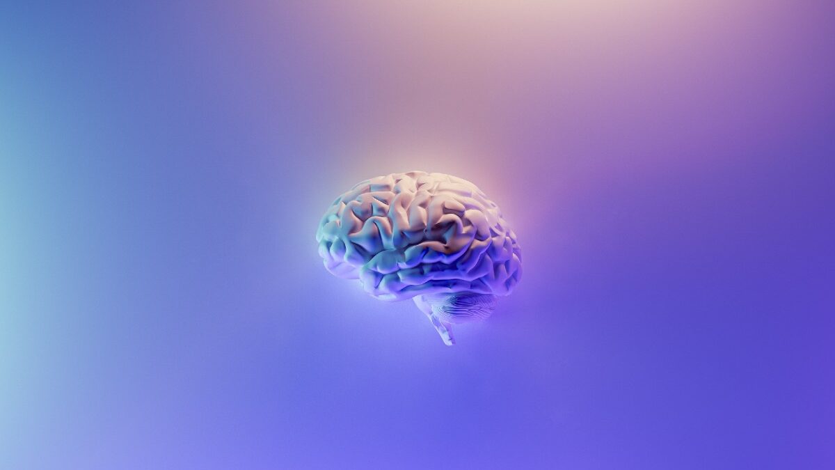 Dia Nacional da Paralisia Cerebral: por uma Sociedade inclusiva e adaptada