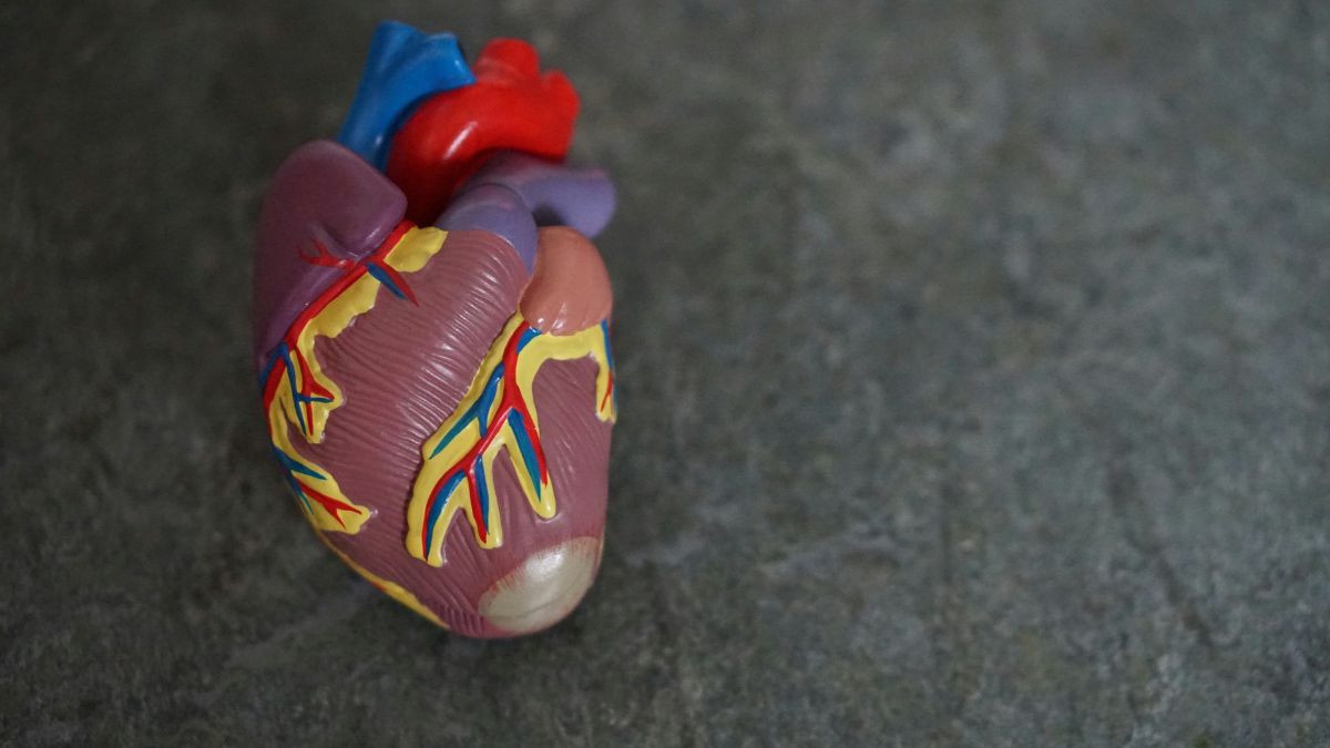 Doenças cardiovasculares: sinais de alerta e cuidados preventivos 